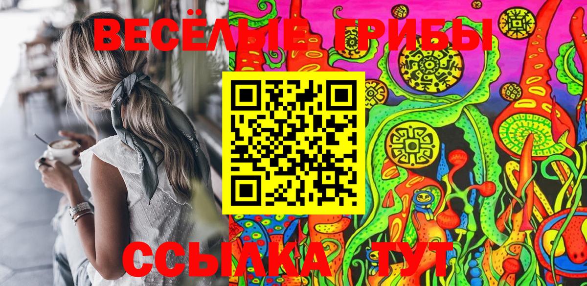 как найти закладки  Псилоцибиновые грибы GOLDEN TEACHER  Вход с VPN  Кинель 